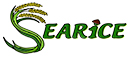 SEARICE