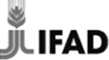 IFAD
