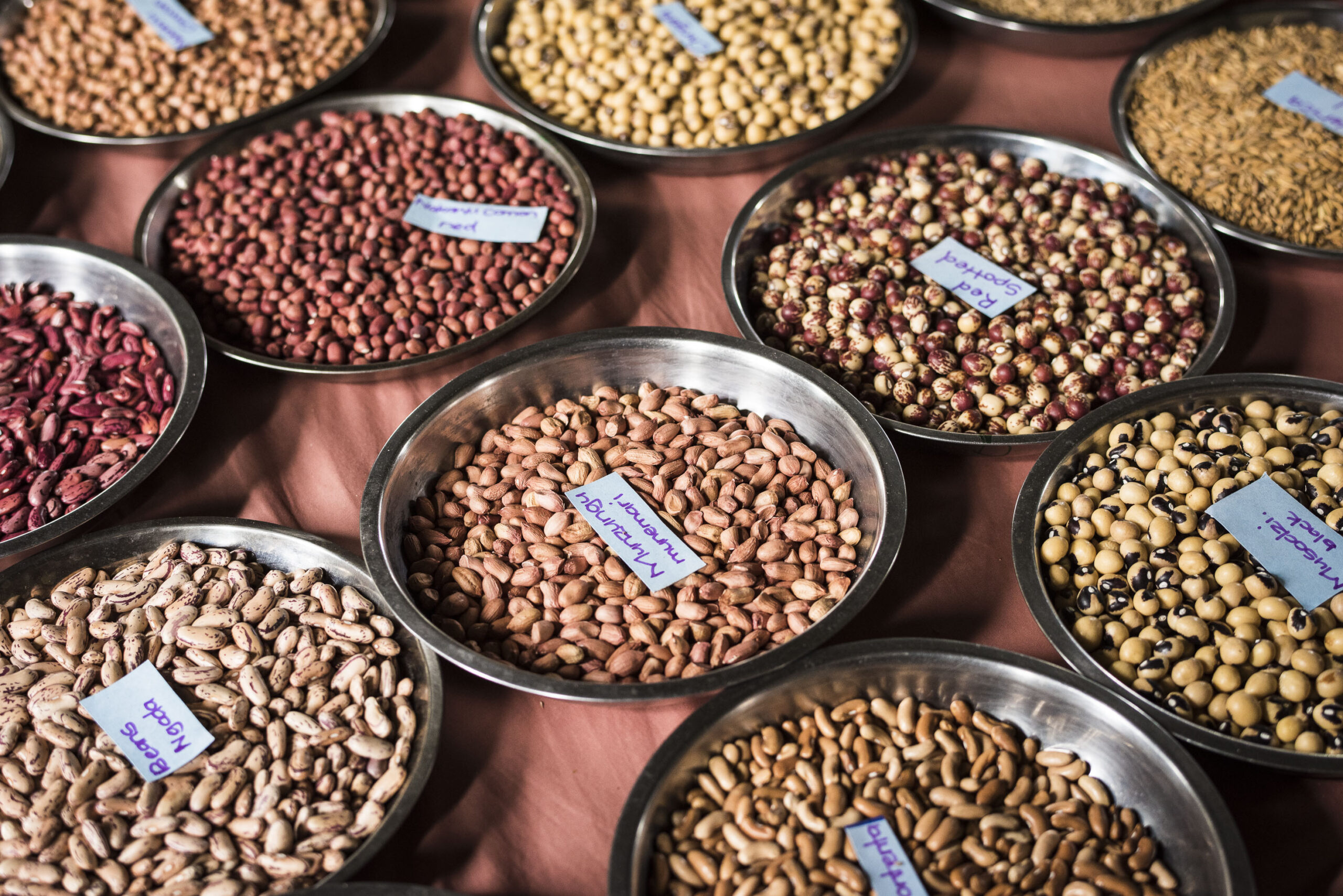 pots of colourful grains with tags on each of them